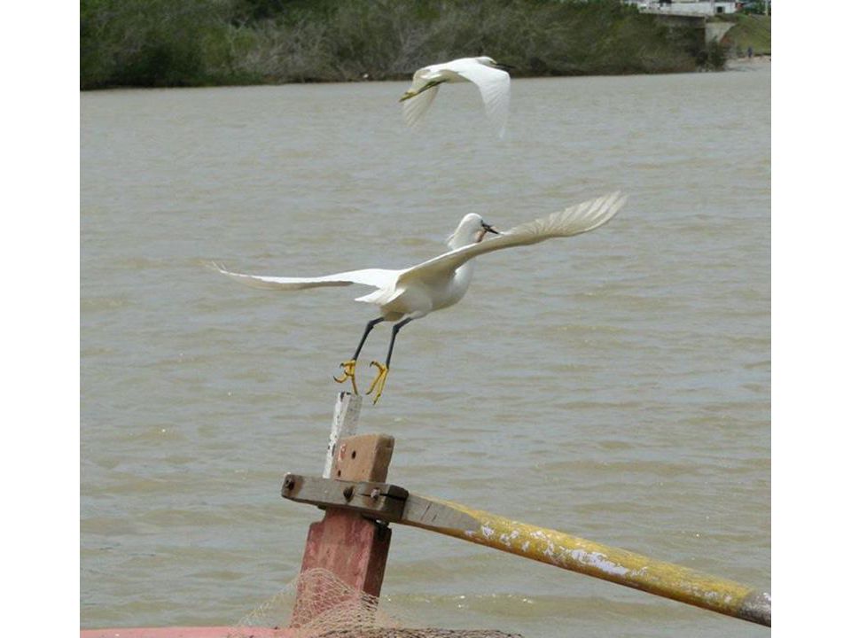 Pousada Canto da lua