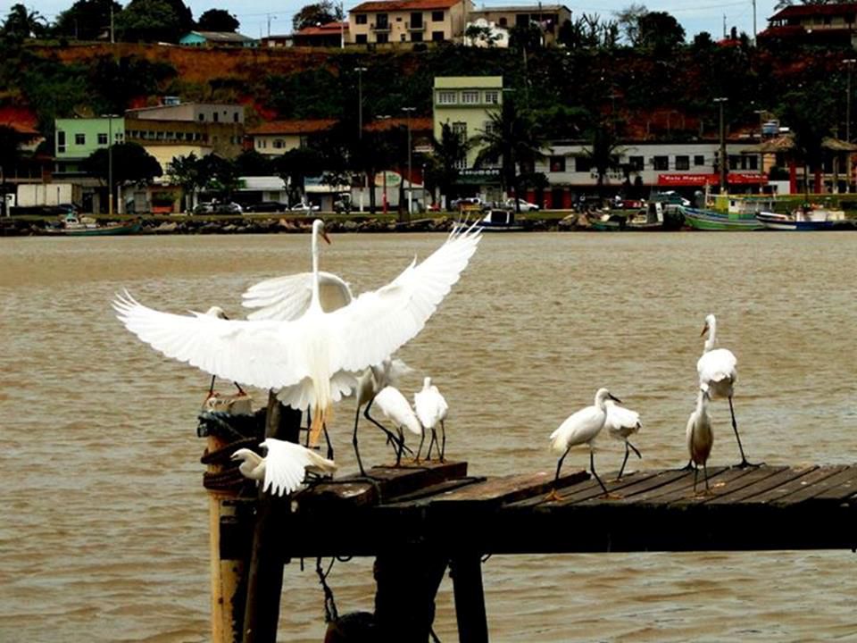 Pousada Canto da lua